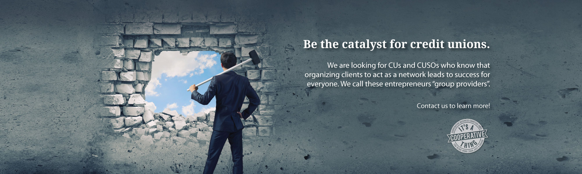 Be the catalyst for credit unions We are looking for CUs and CUSOs who know that organizing clients to act as a network leads to success for everyone. We call these entrepreneurs "group providers".